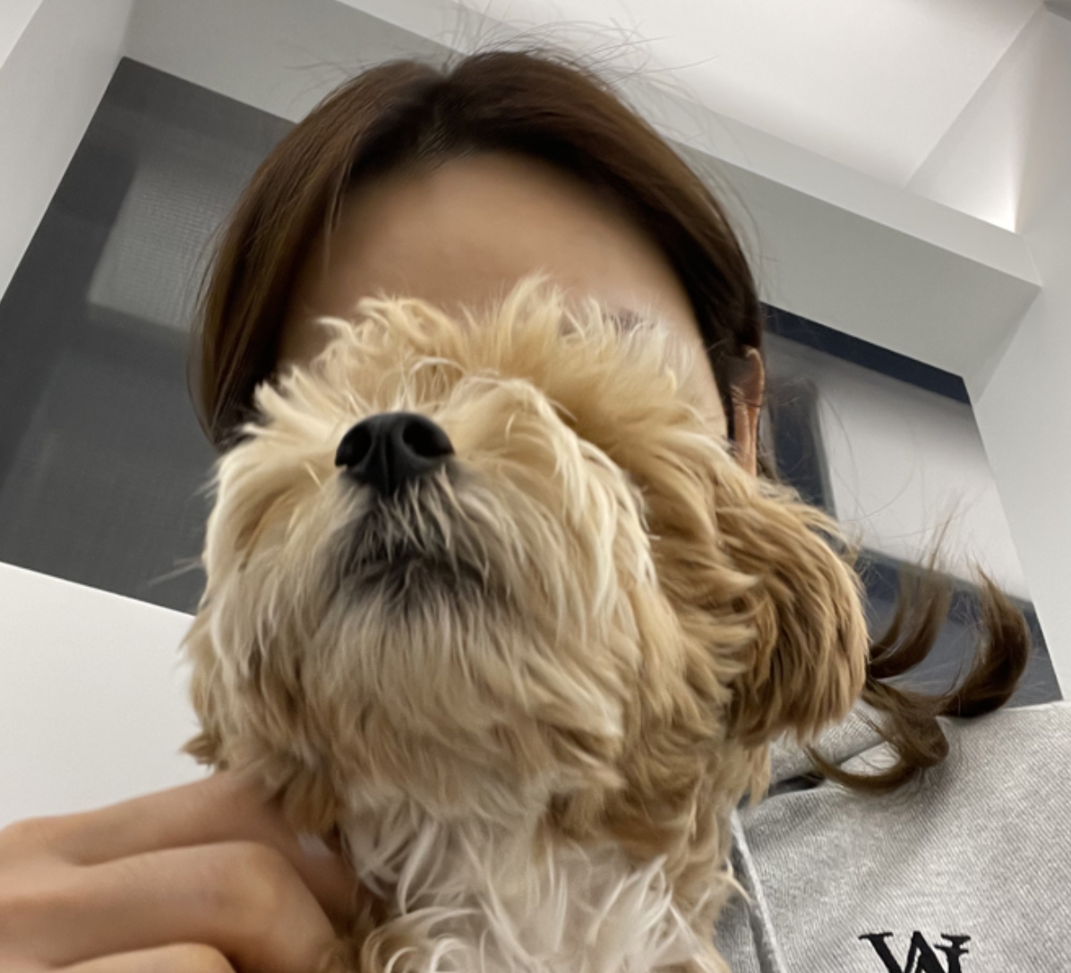 undefined_profile